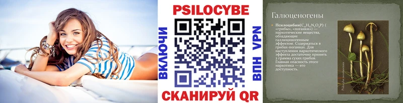 ссылка на мегу как войти  Усть-Джегута  Псилоцибиновые грибы Psilocybe 