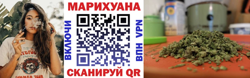 Конопля сатива Усть-Джегута